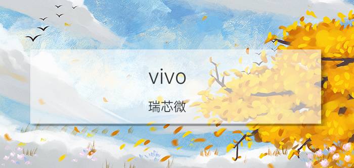 vivo 瑞芯微 国内做芯片设计的公司有哪些？